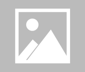 开云体育官网-【早报】Halo救命！周冠宇遭遇事故已无大碍！